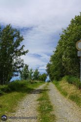 Hochsauerlandlauf/Nordic-Walking 11 km