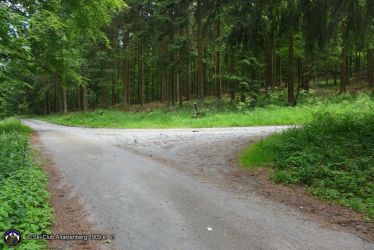 Hochsauerlandlauf/Nordic-Walking 11 km