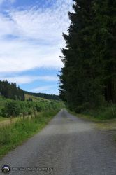 Hochsauerlandlauf 25 km